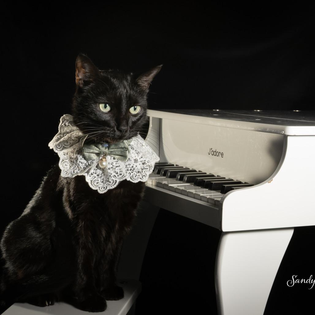 Eleanor