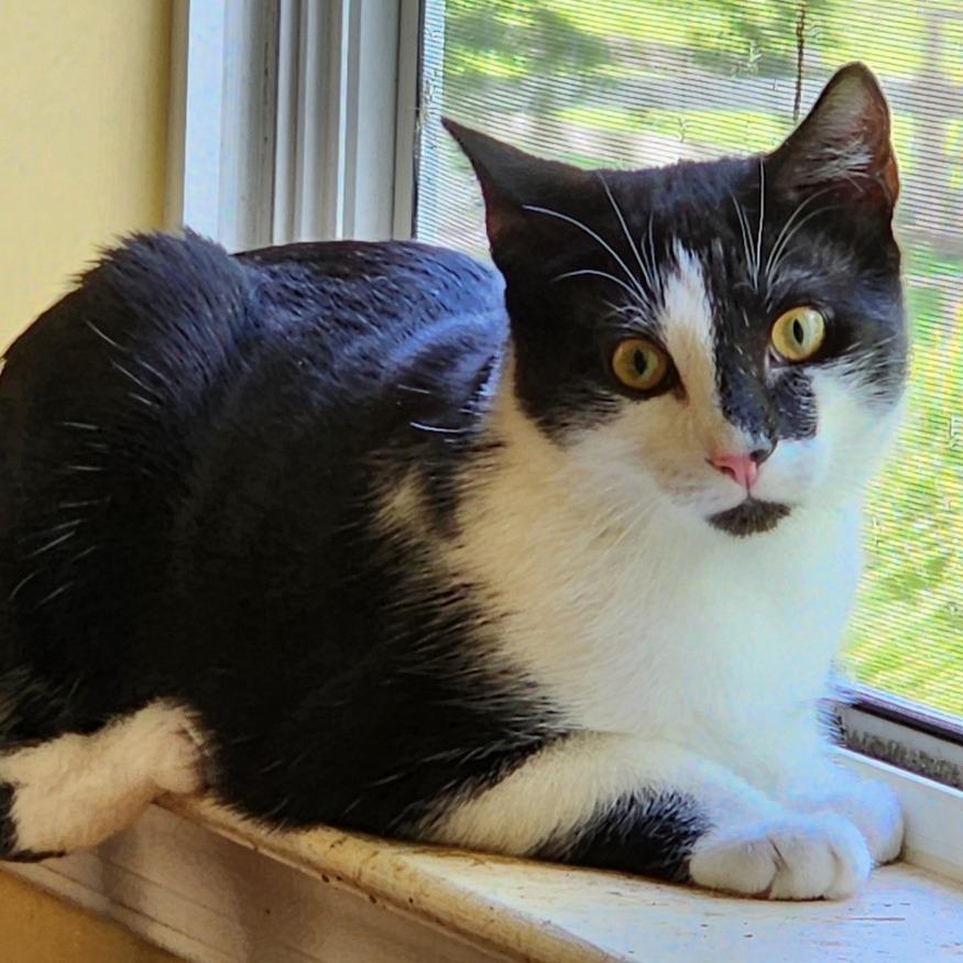 Watson