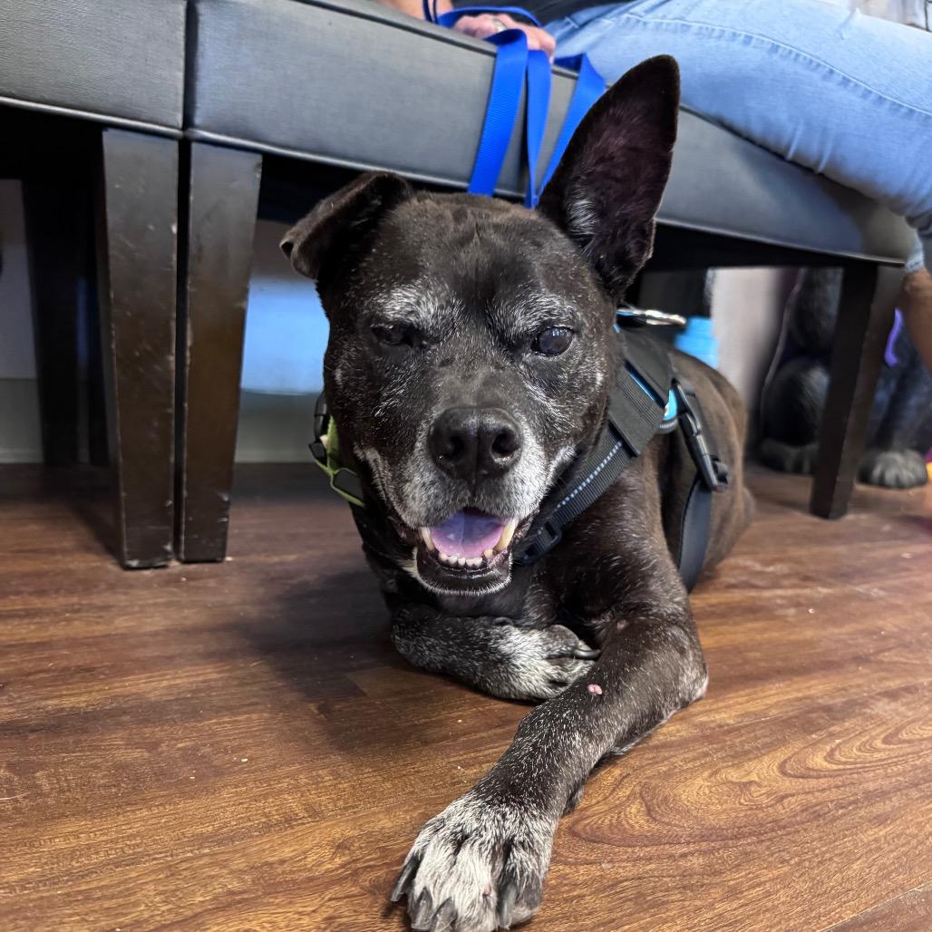 Jax
