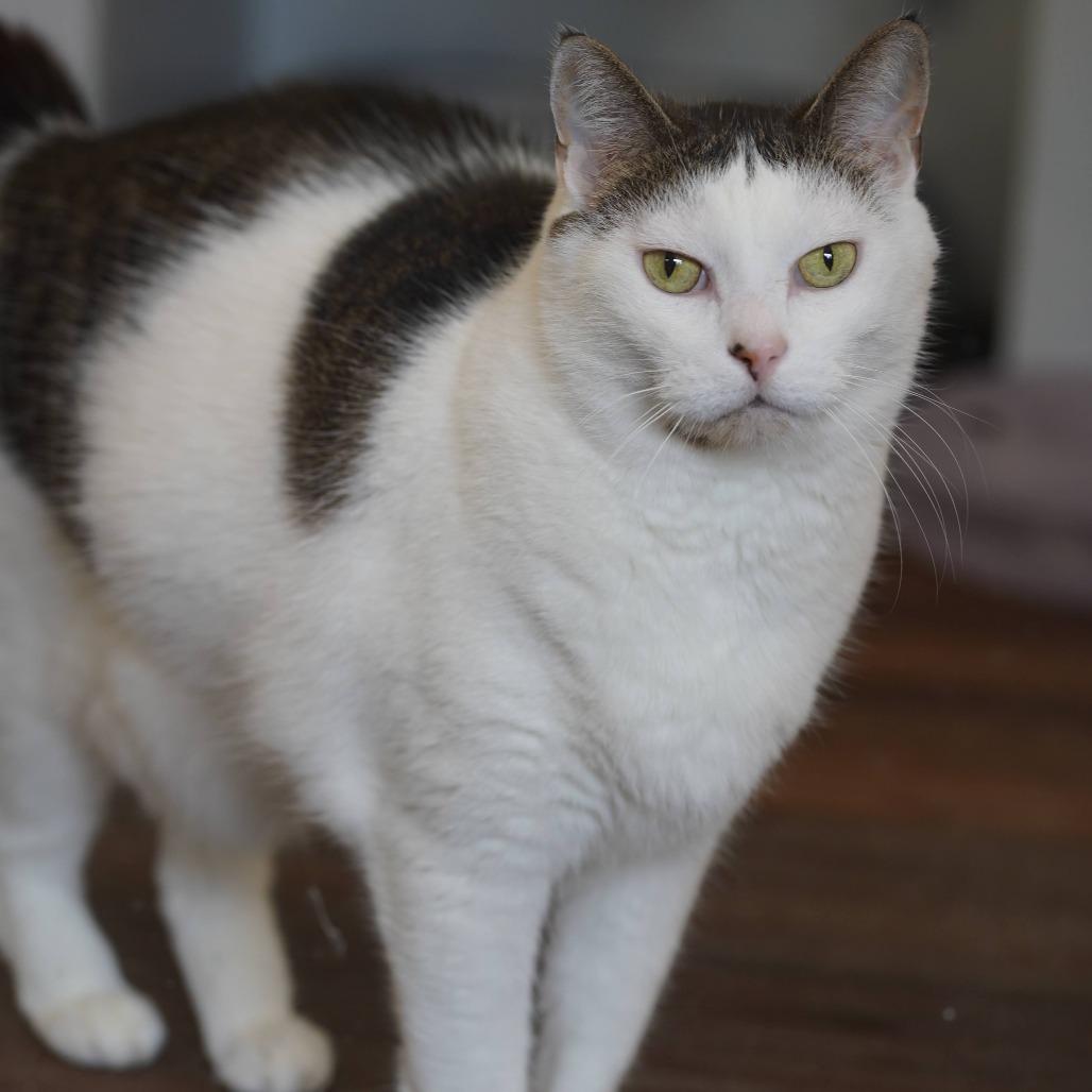 Jasper