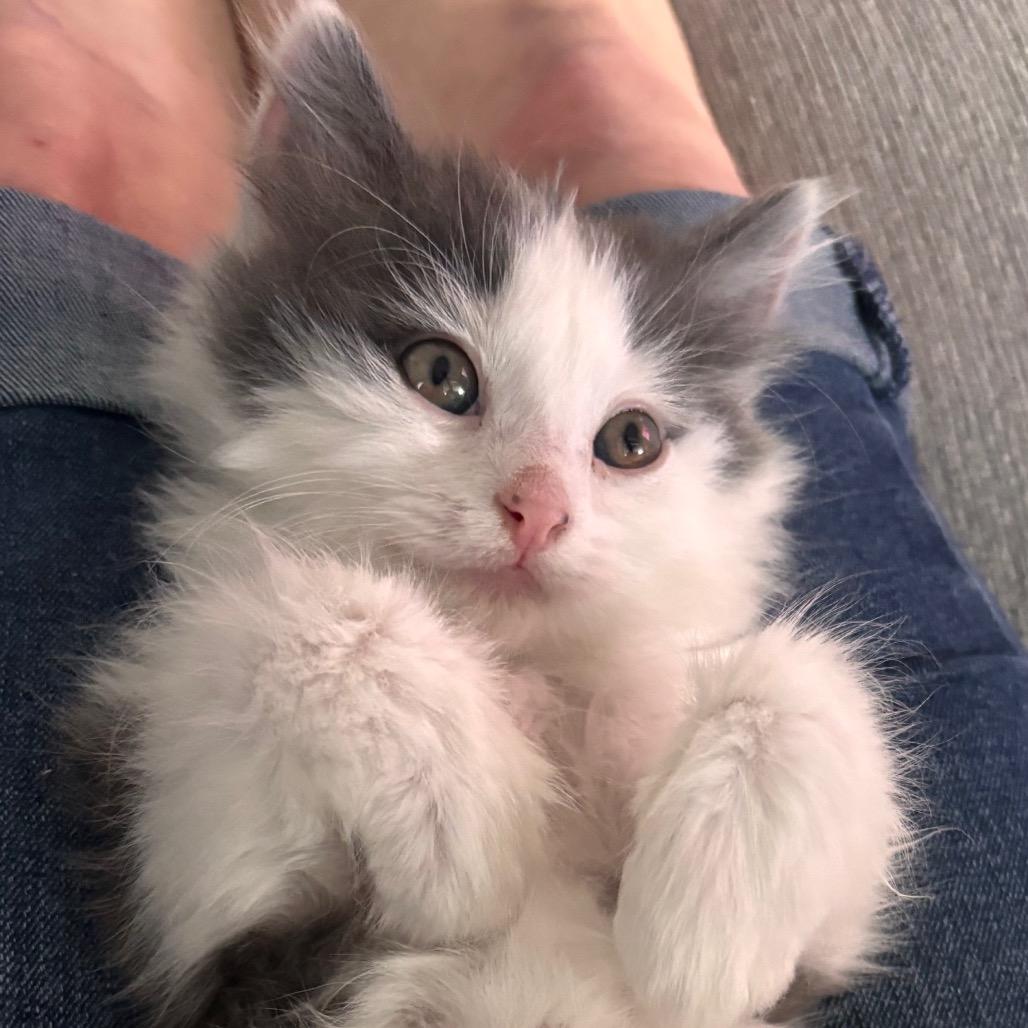 Sebastian