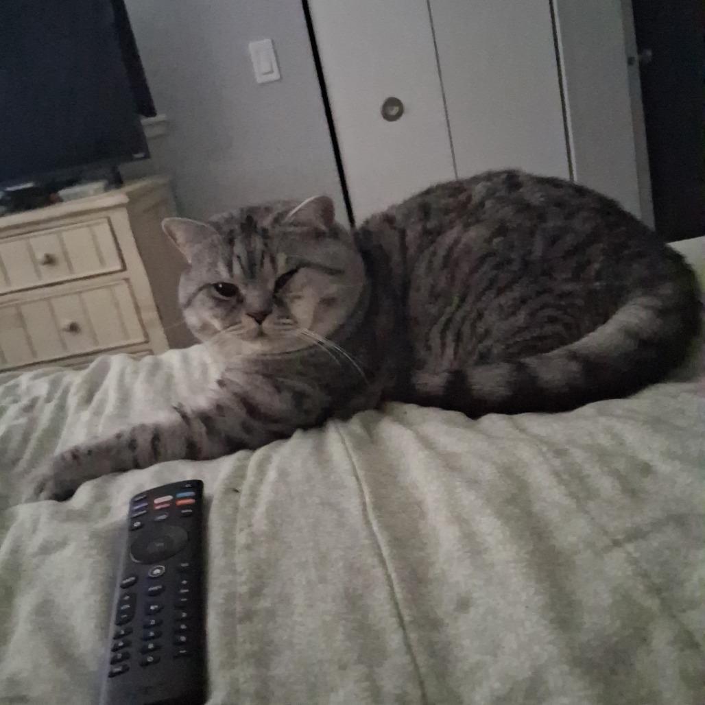 Big Boy