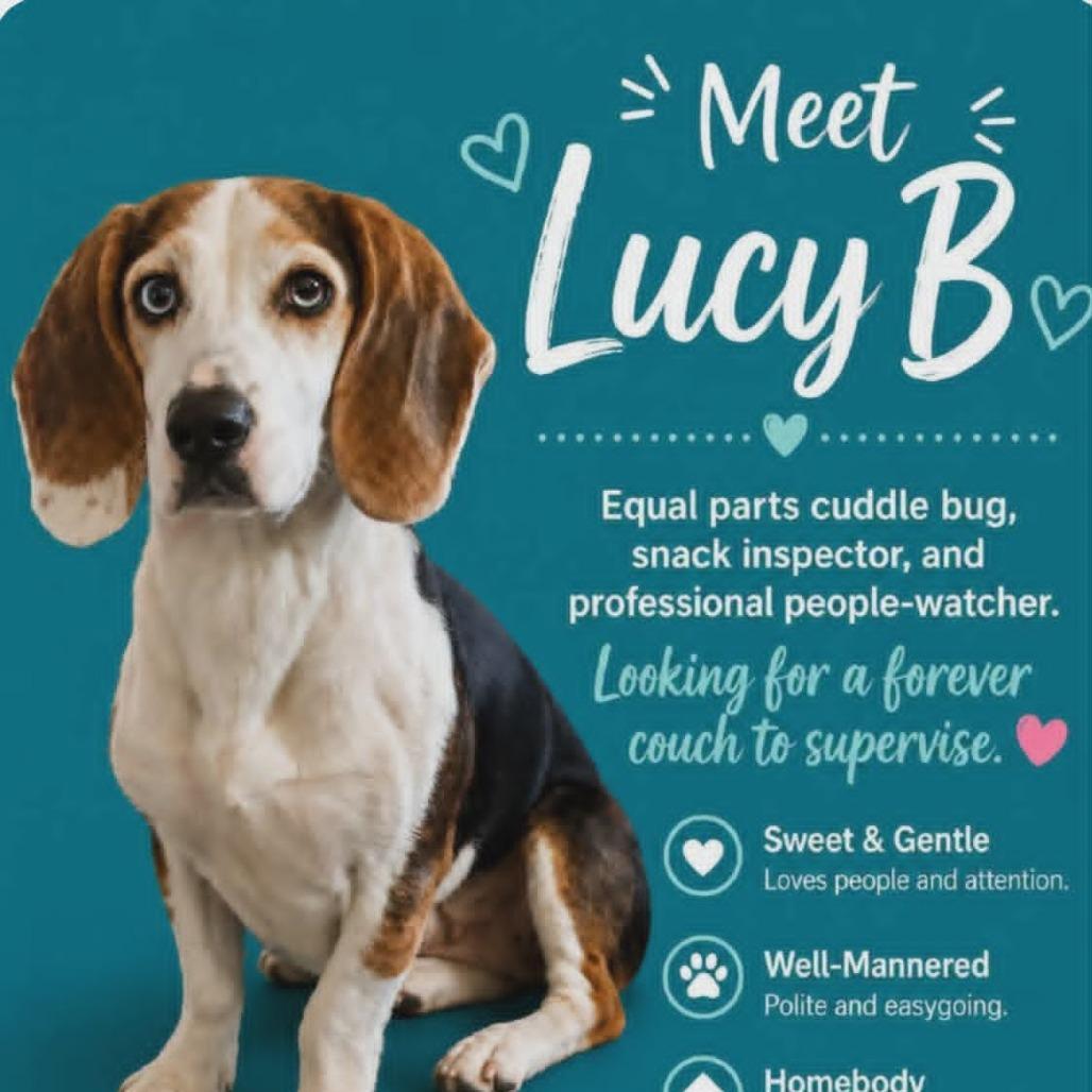 Lucy B