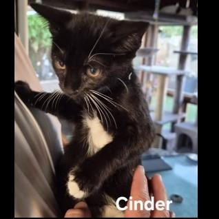 Cinder
