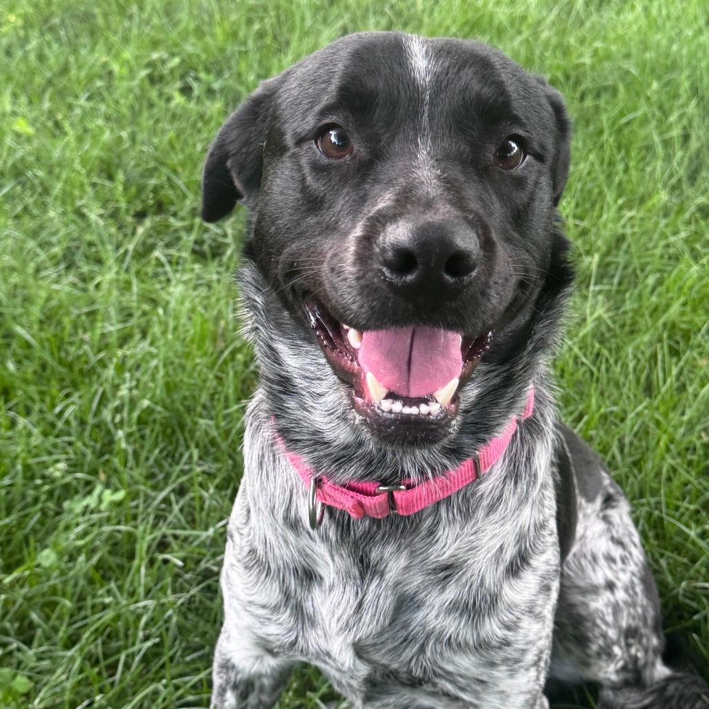 Beau