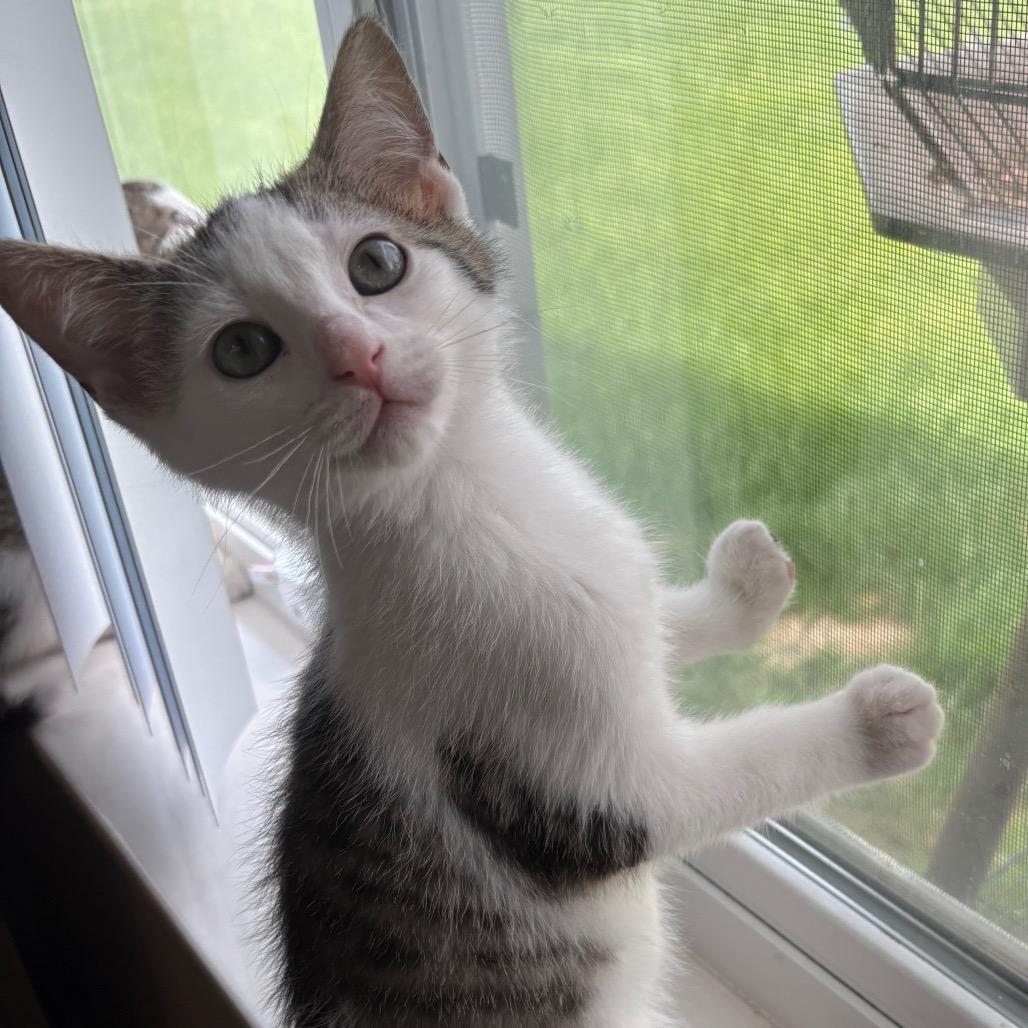 Eugene