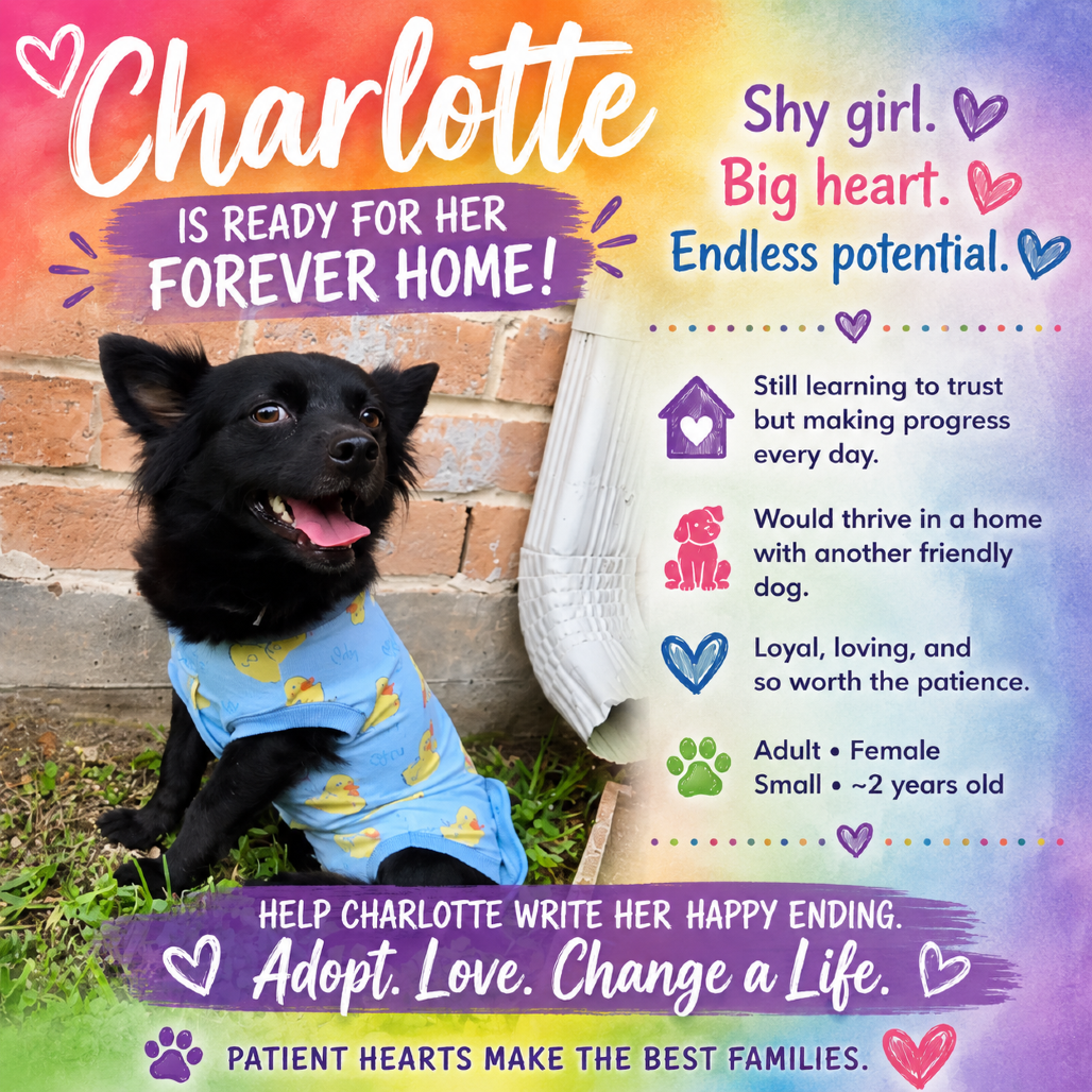 Charlotte