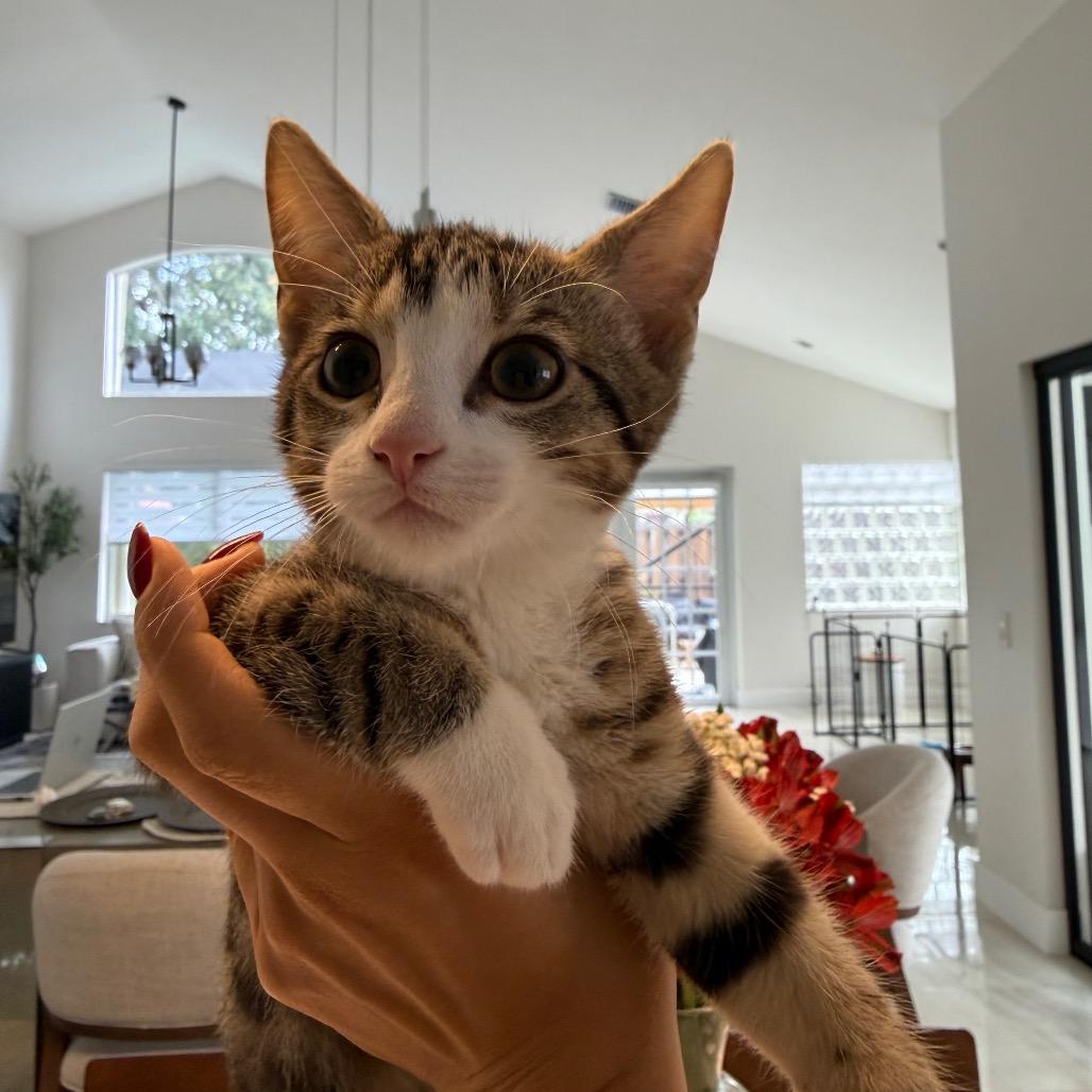 Theodore