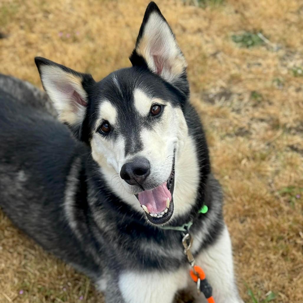 Sam