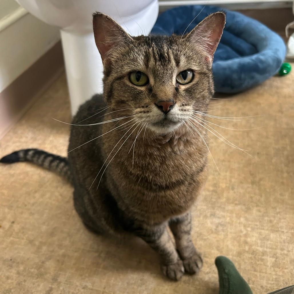 Parker-In Foster