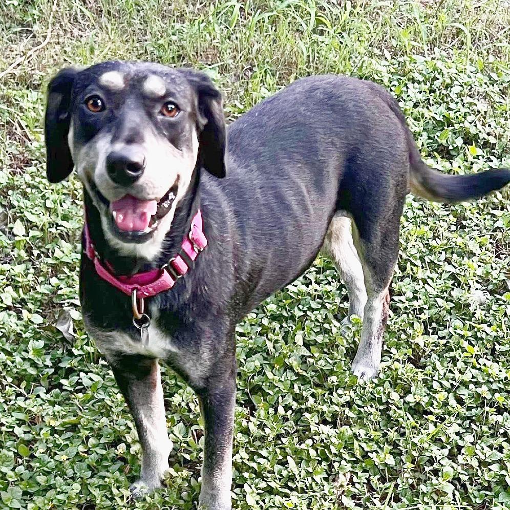 Fiona