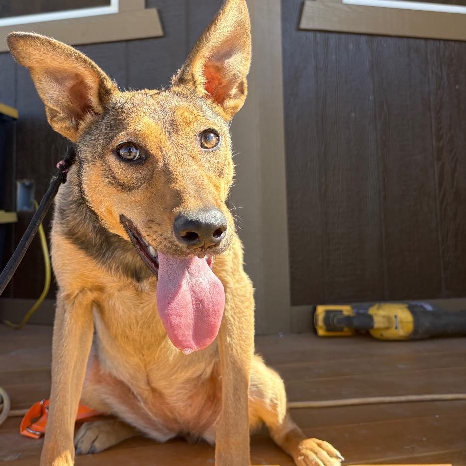 Sriracha