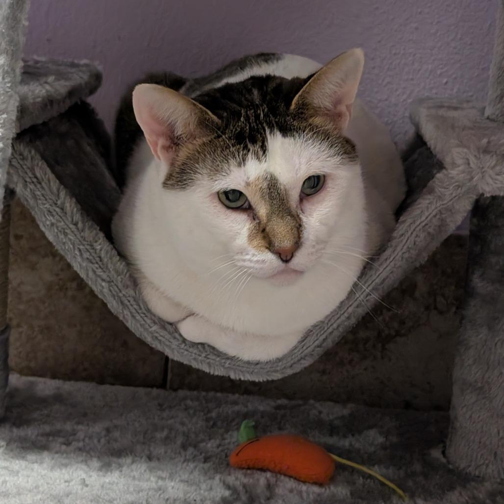 Eugene