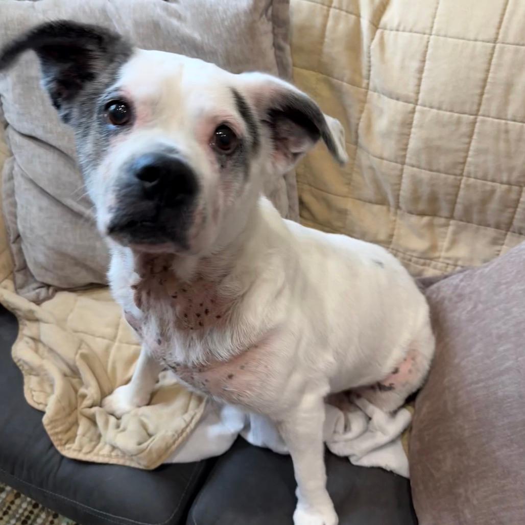 Winnie AKA Sarah Lee