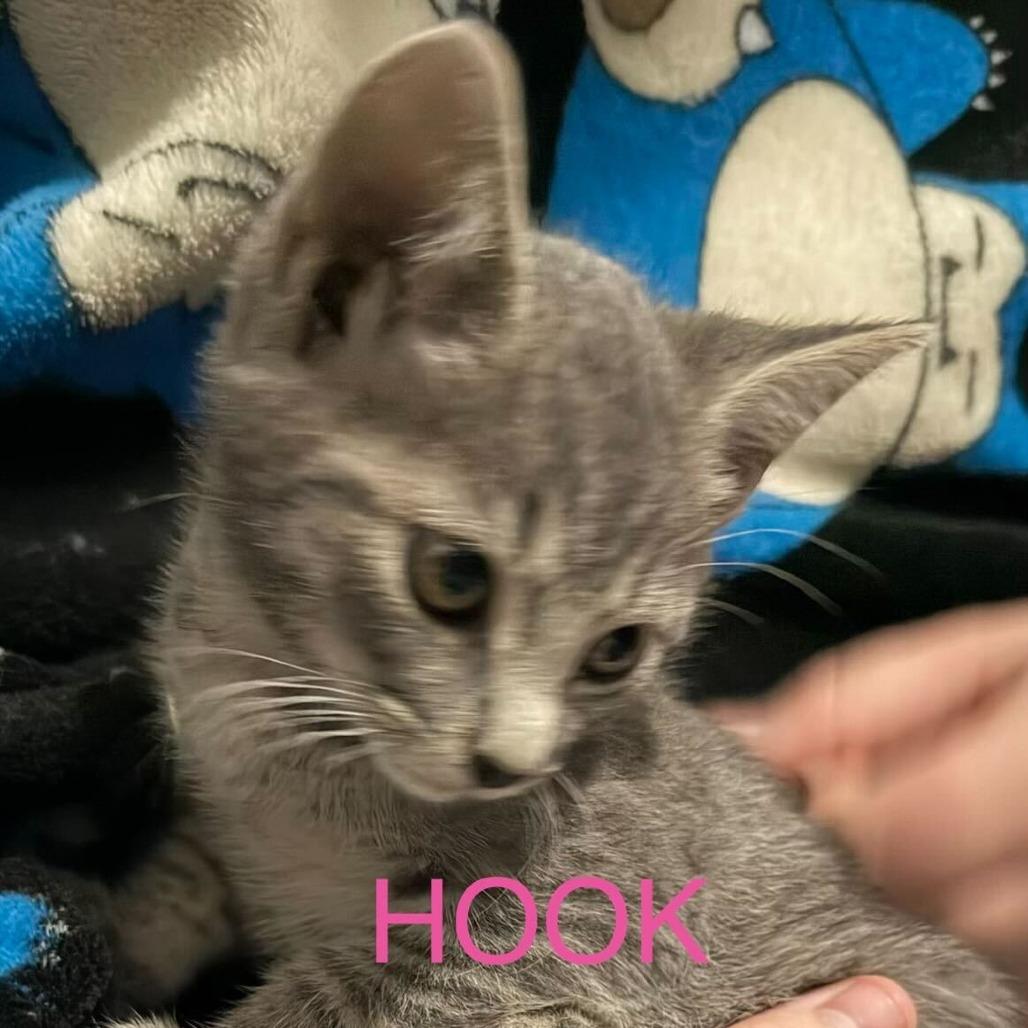 Hook