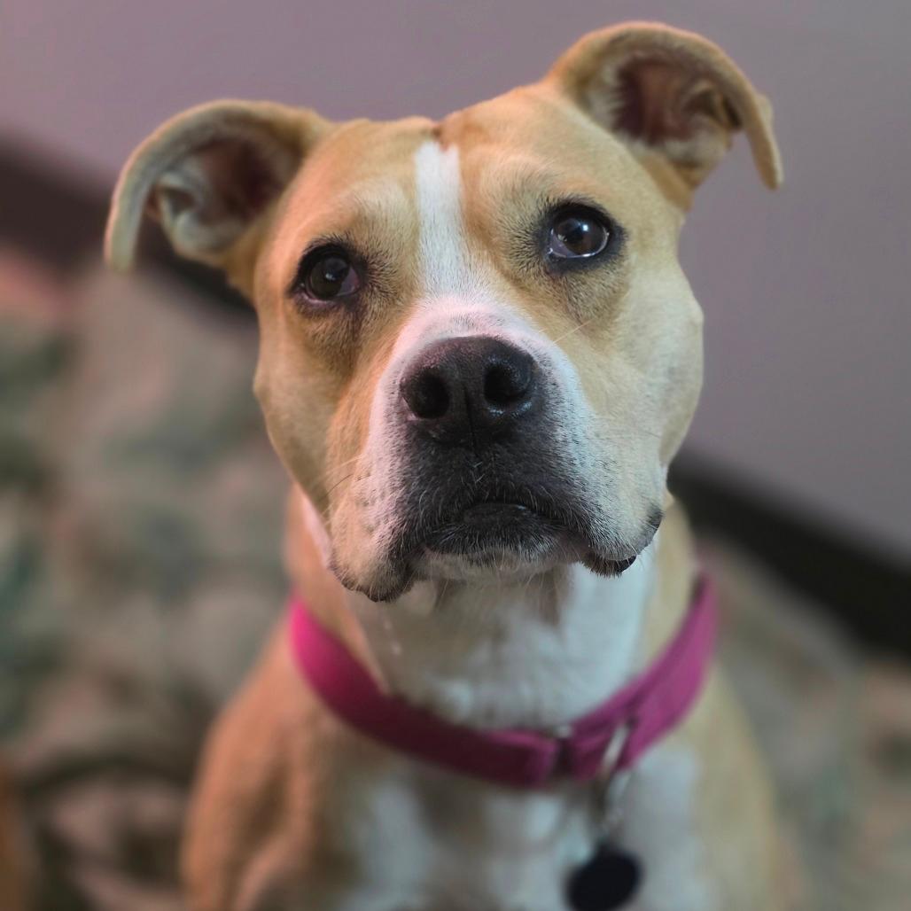 Amy