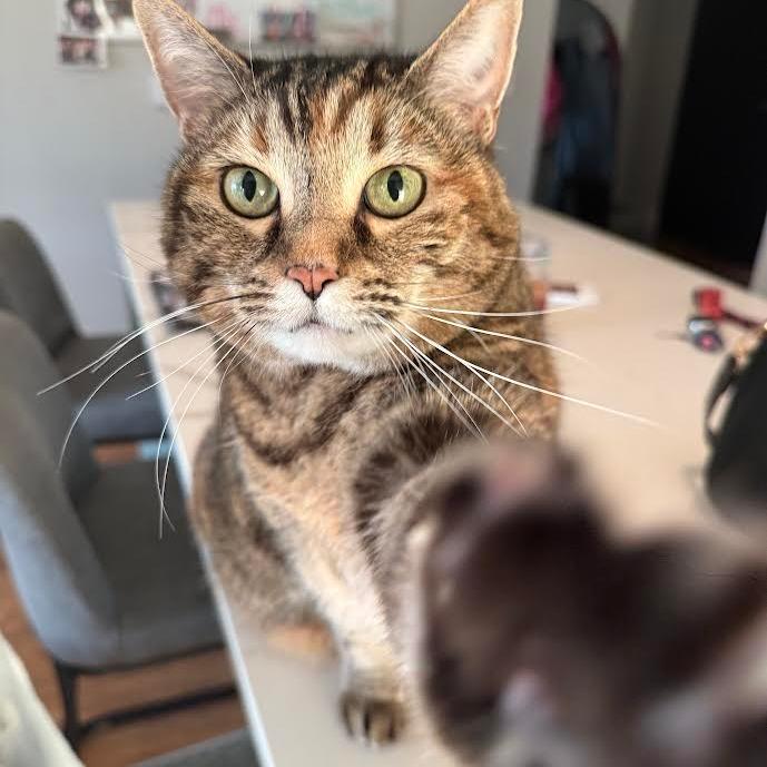 Selma