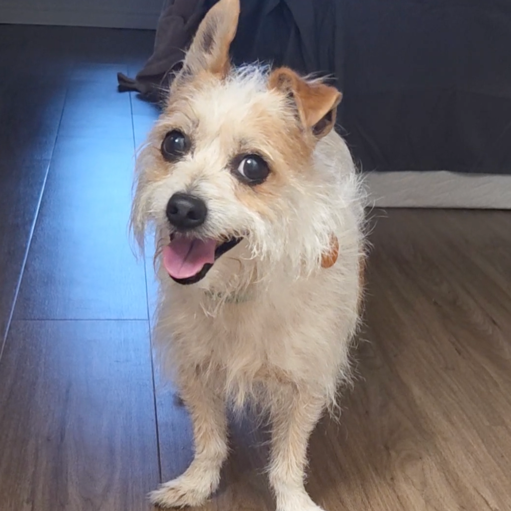 Max