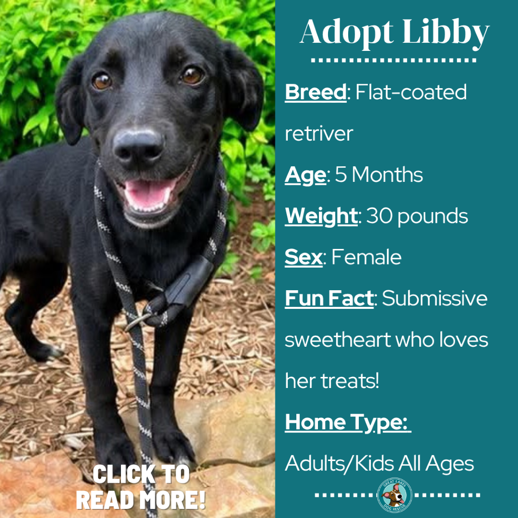 Libby