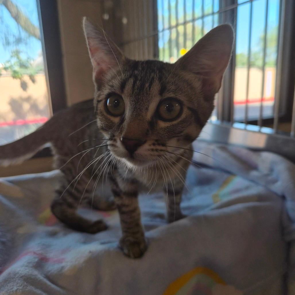 Margo 