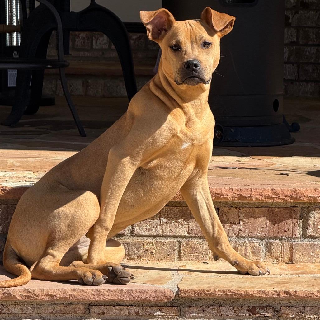 Georgia