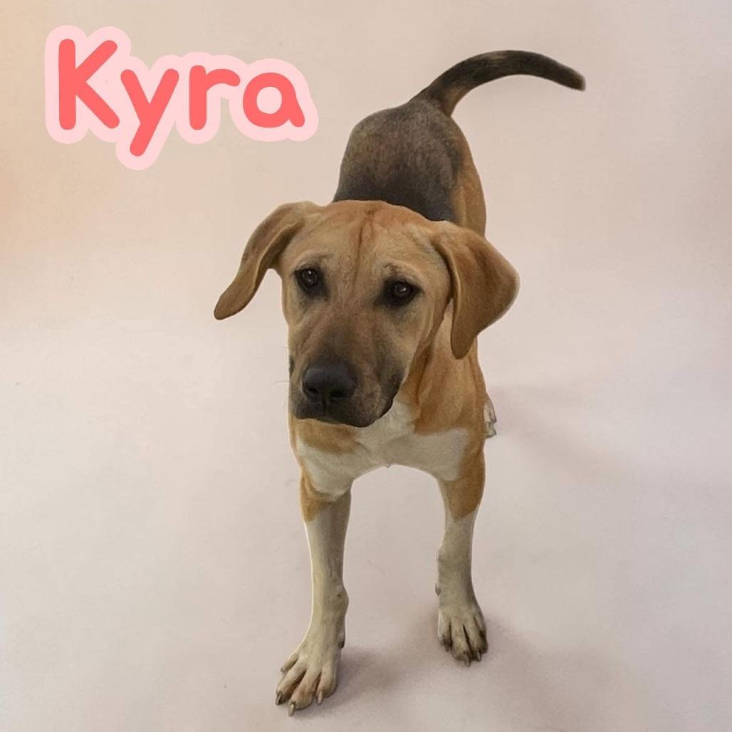 Kyra