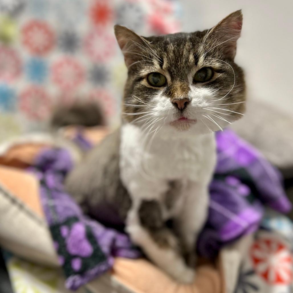Bella