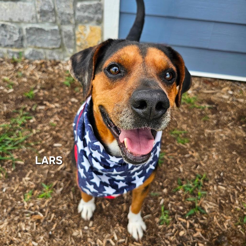 Lars