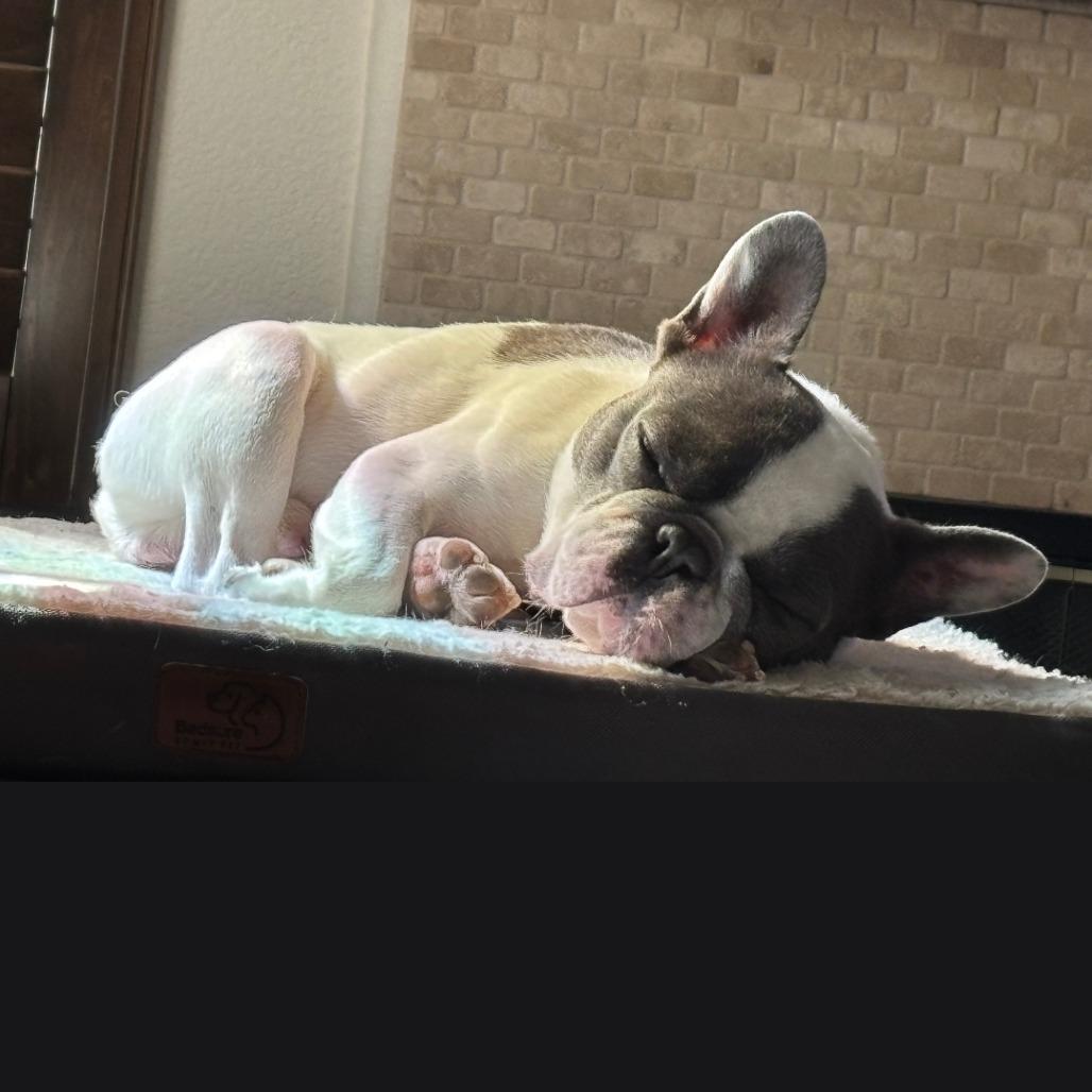 Buster