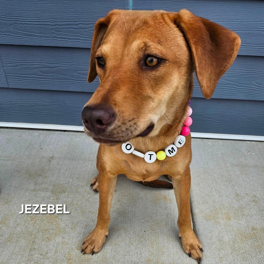 Jezebel