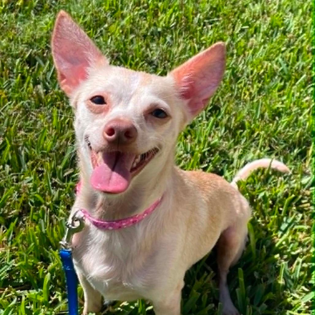 Savannah (Bonded with Charlotte)