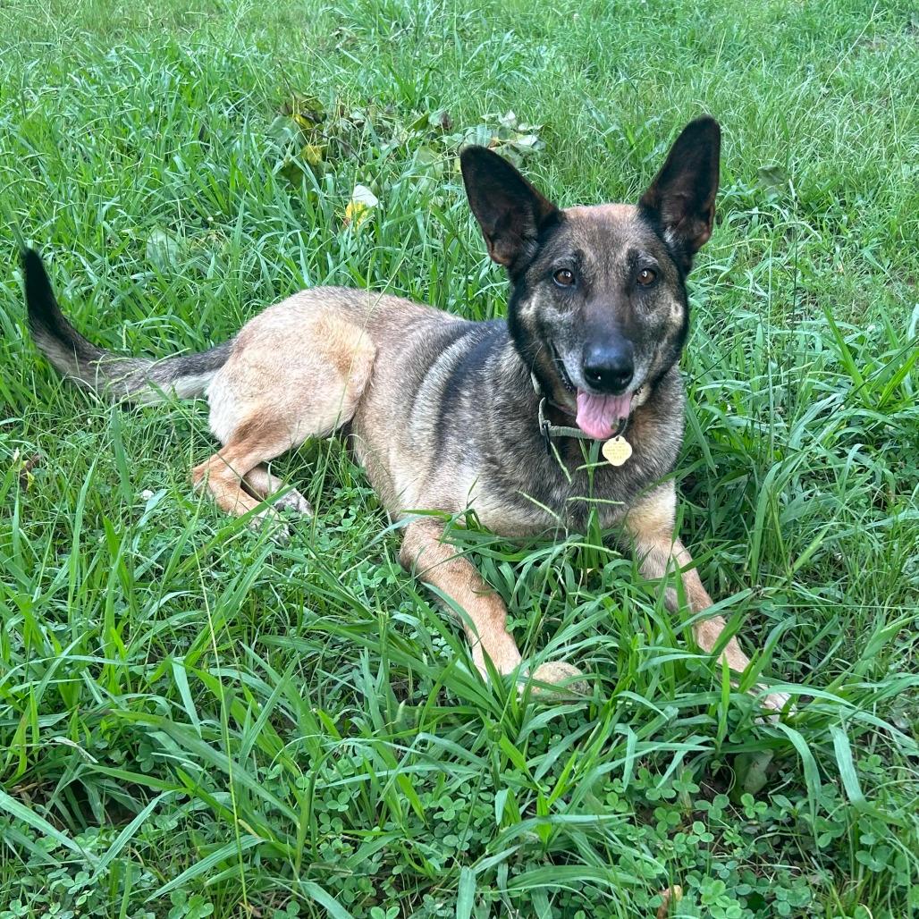 Joni