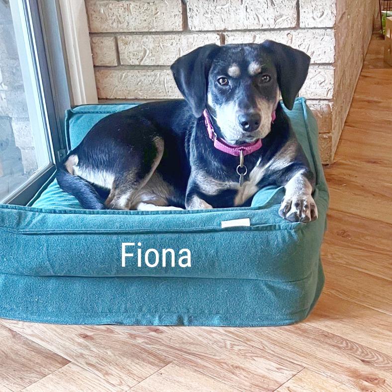 Fiona