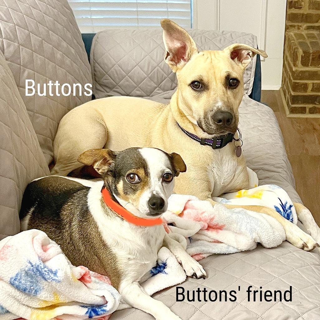Buttons