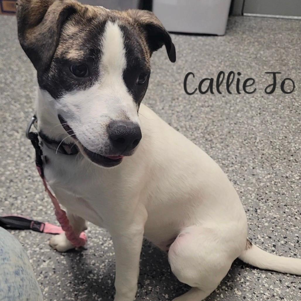 Pepper (Callie Jo)