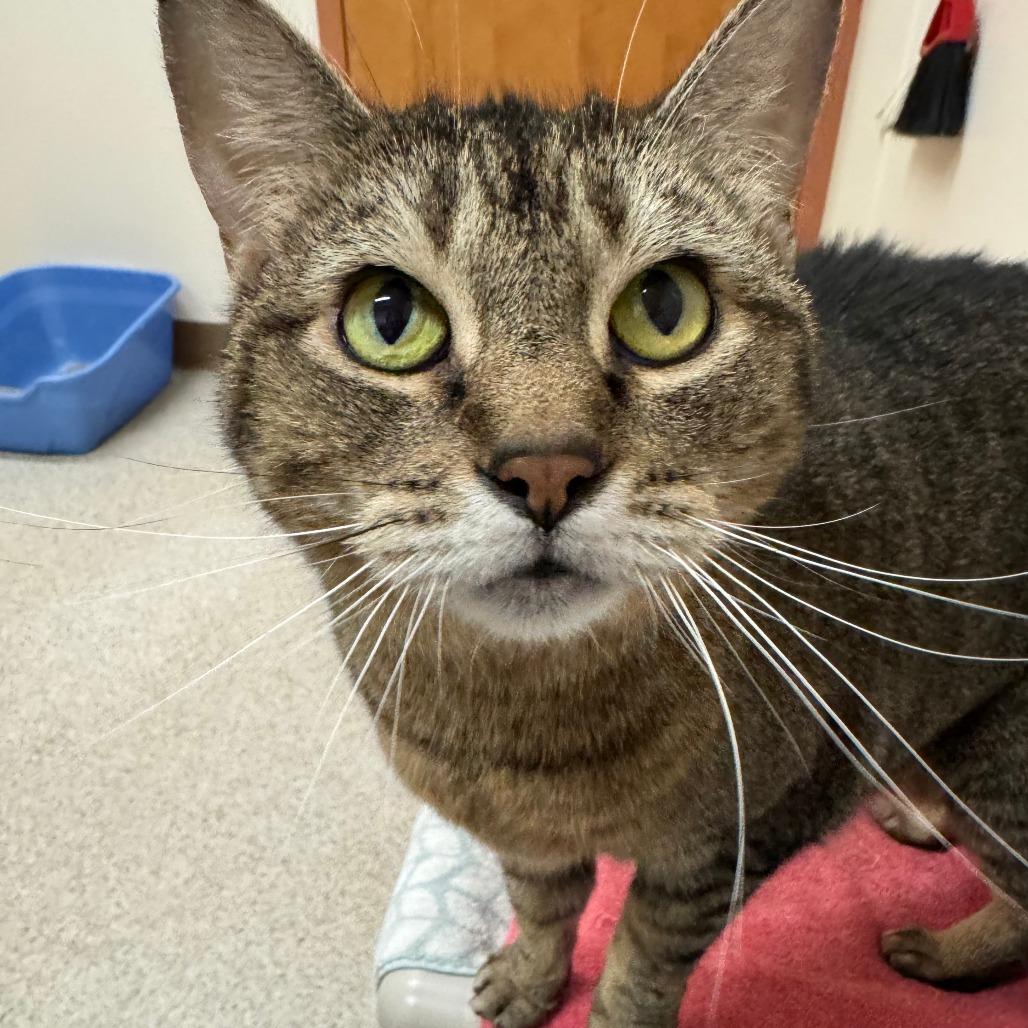 Parker-In foster