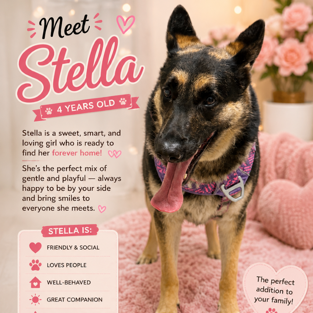 Stella