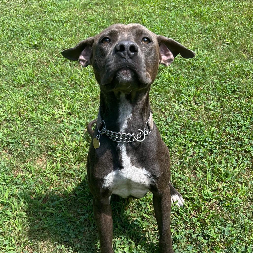 Edgar