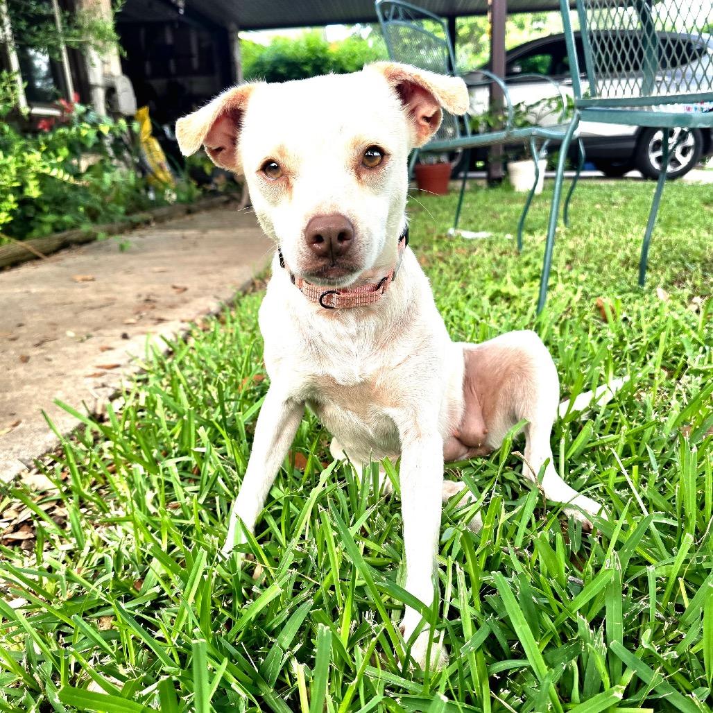 Lola
