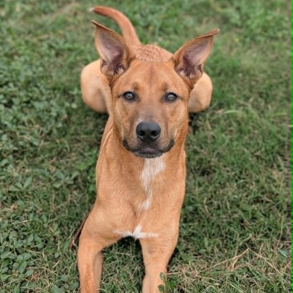 Max