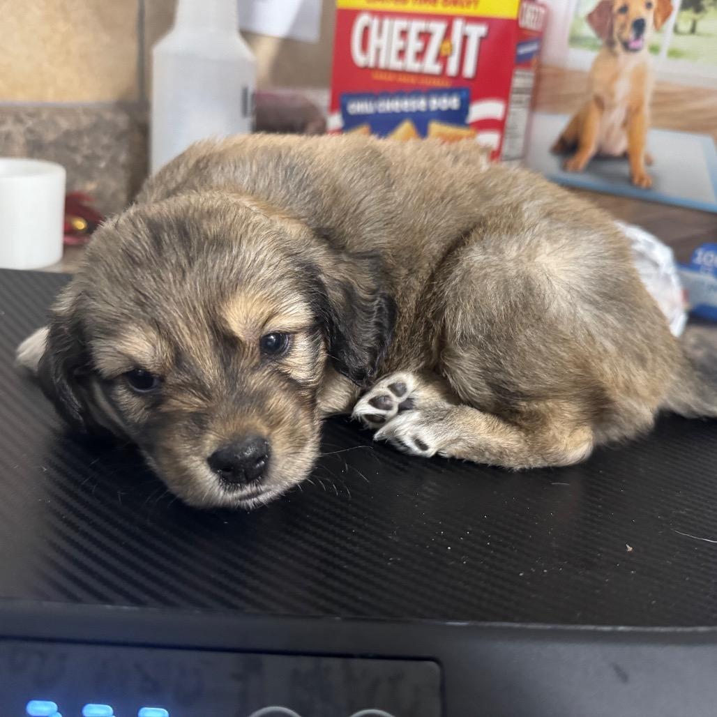 Sleepy