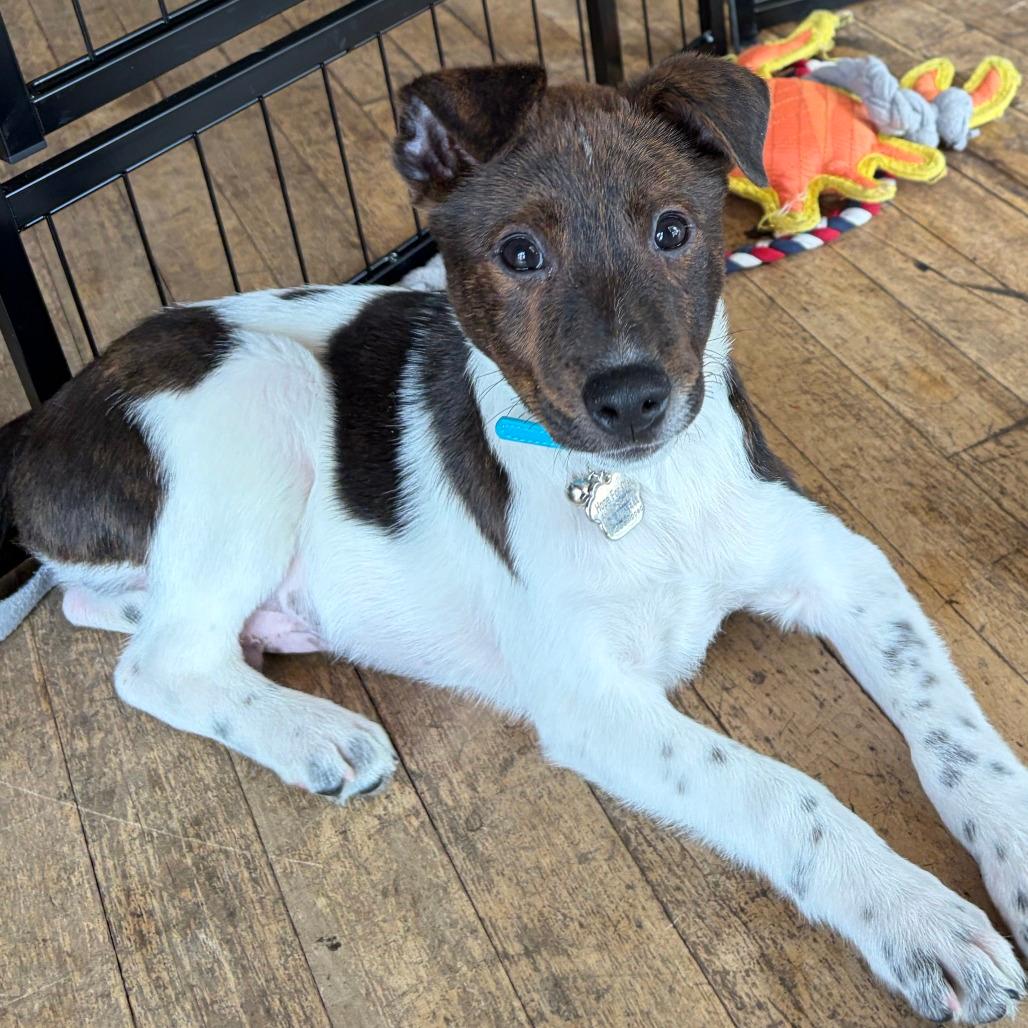 Hudson