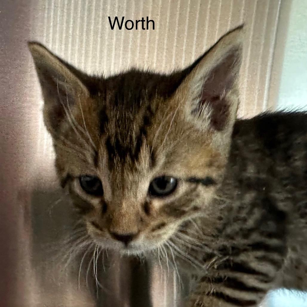 Worth