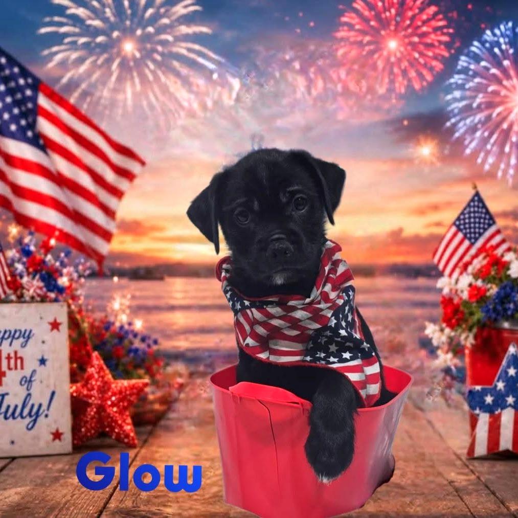 Glow