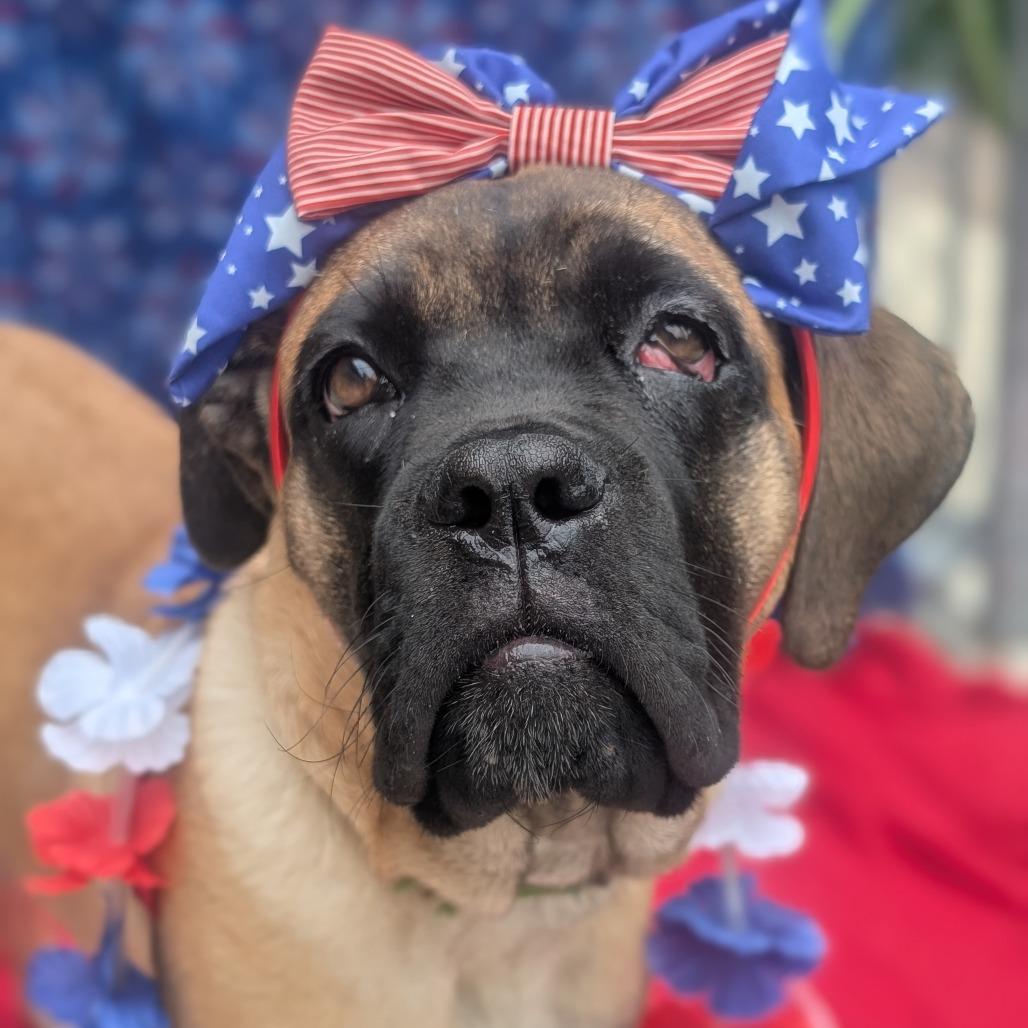 Kona