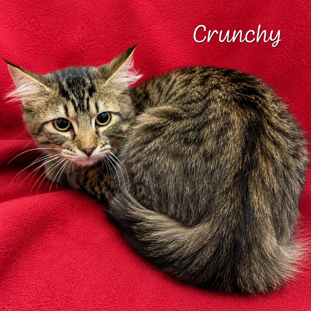Crunchy