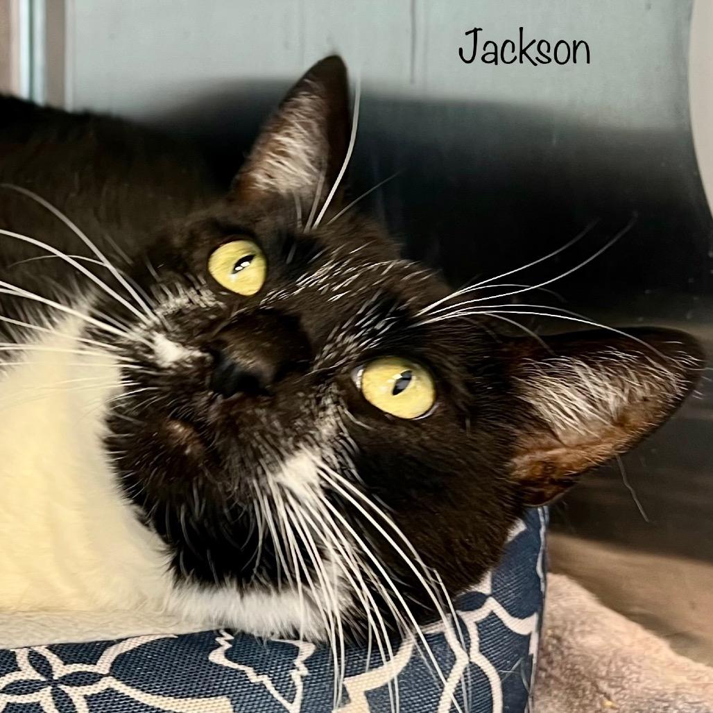 Jackson