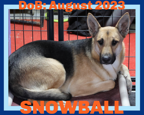snowball