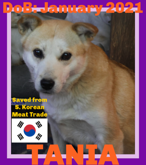 tania