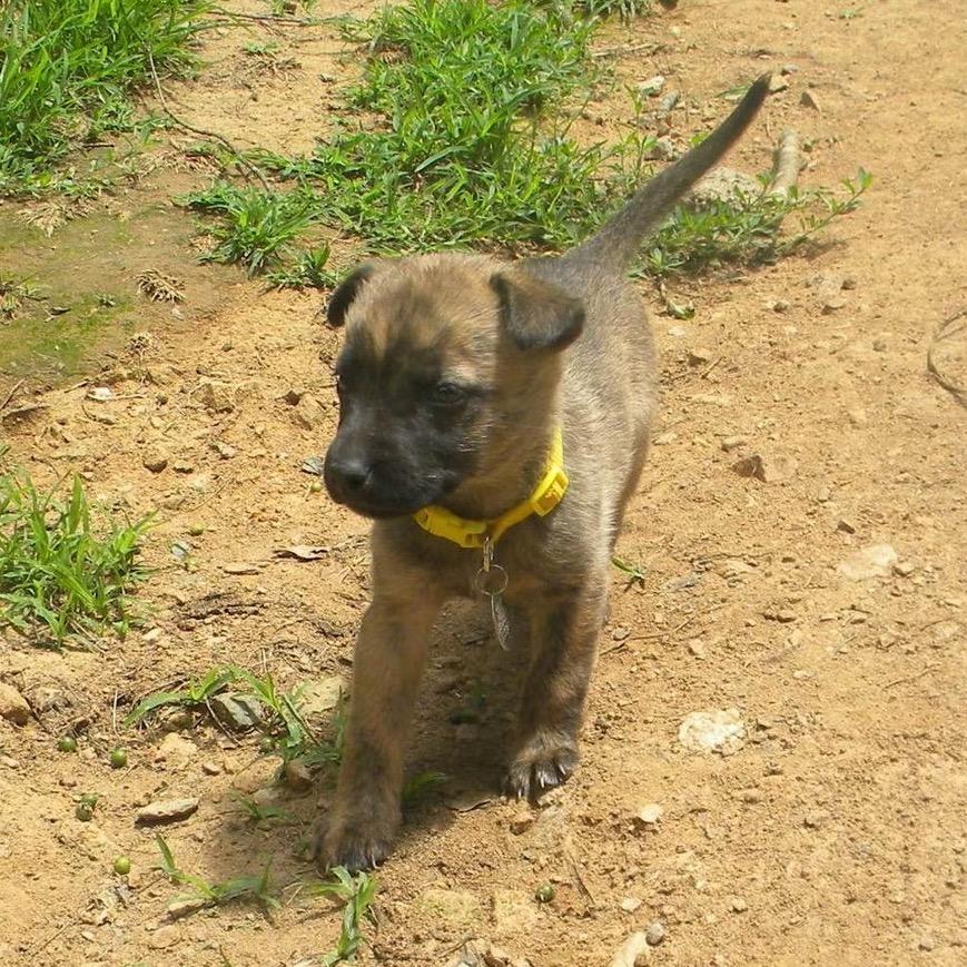 Annie (In Foster)
